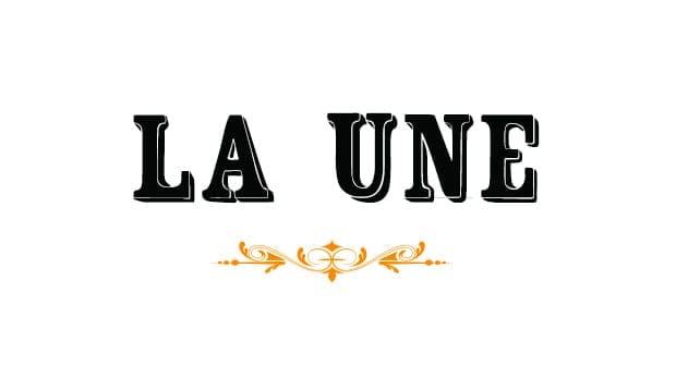 Les journaux quotidiens ivoiriens à fond dans la campagne référendaire