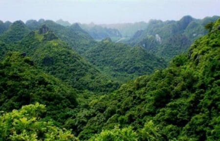 Lutter contre la dégradation des forêts: la Banque mondiale accorde 7,91 milliards de FCFA à la Côte d’Ivoire