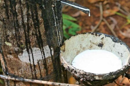 Côte d’Ivoire: autorisation « exceptionnelle d’exportation » de fonds de tasse d’hévéa