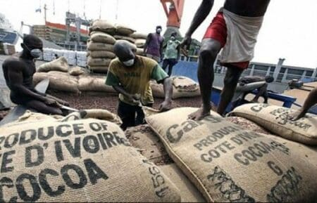 Côte d’Ivoire: Bolloré Transport et Logistics se dote d’une nouvelle station d’empotage de cacao