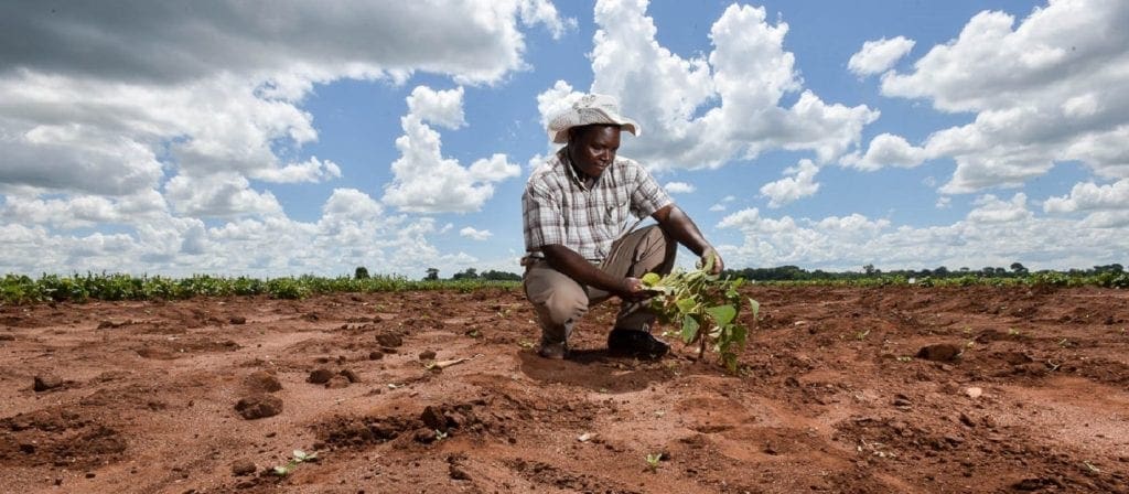 Bientôt une banque agricole verra le jour en Côte d’Ivoire
