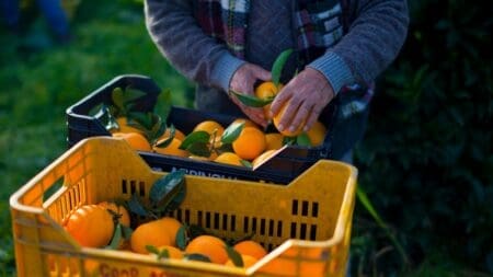 L’Italie ouvre la voie à la régularisation de milliers de sans-papiers