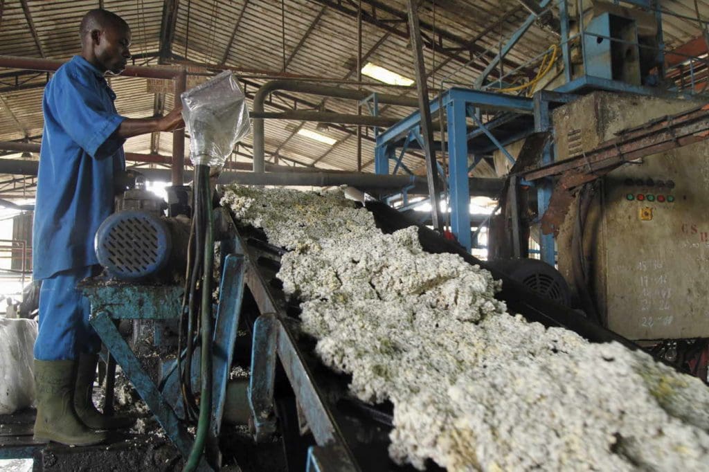 La Côte d’Ivoire désormais 4e mondial!