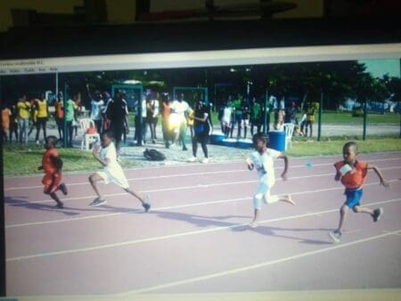 Des oiseaux rares détectés !