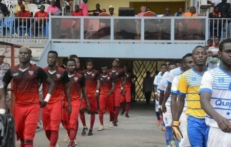 Les poules dévoilées !