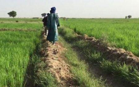 la BAD appuiera la création d’agropoles et l’emploi féminin dans les chaînes de valeur agricoles (DSP 2021-2025)