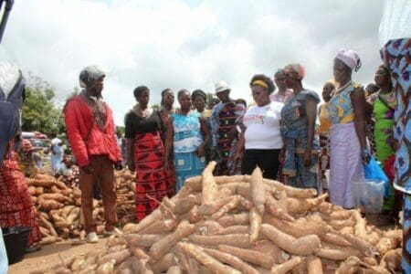 Promotion du « consommer local » : Le CNLVC à la rencontre des commerçants des produits locaux