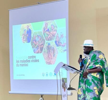 Côte d’Ivoire: Une campagne « Sauvons notre manioc » lancée