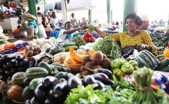 SECURITE ALIMENTAIRE/ SECTEUR DU VIVRIER : QUAND LE GOUVERNEMENT RENFORCE LA CHAINE DE PRODUCTION ET D’APPROVISIONNEMENT