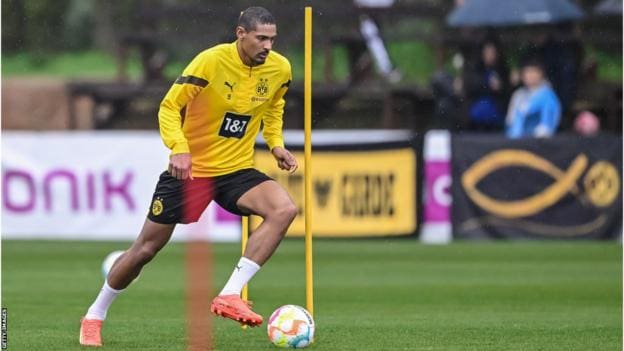 Éléphants -Haller : » Je veux être sur le terrain »