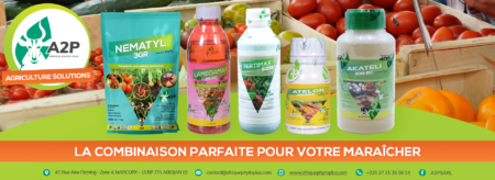 Intrants agricoles : AgDevCo décaisse €5,5 millions pour soutenir Afrique Phyto Plus (A2P)
