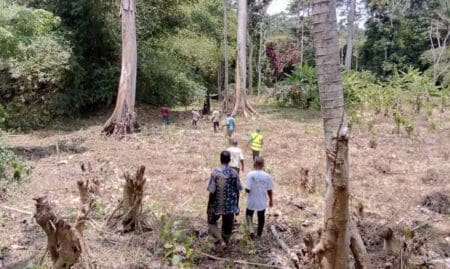 Sécurisation Foncière Rurale (Agnéby- Tiassa): L’AFOR et la SODEFOR conduisent une mission de validation des territoires villageois contigus à des forêts classées