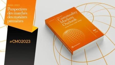 COMMUNIQUÉS DE PRESSE:Les prix des produits de base enregistrent leur plus forte baisse depuis la pandémie