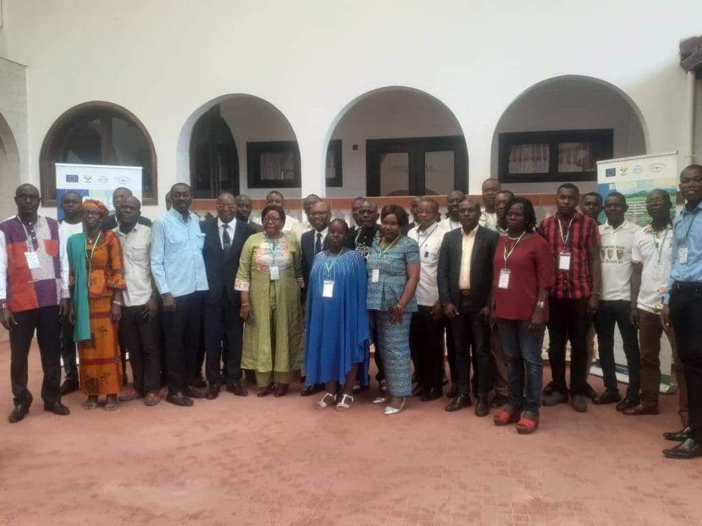 Manioc-Atelier Grand-Bassam:Plusieurs experts planchent sur les maladies virales