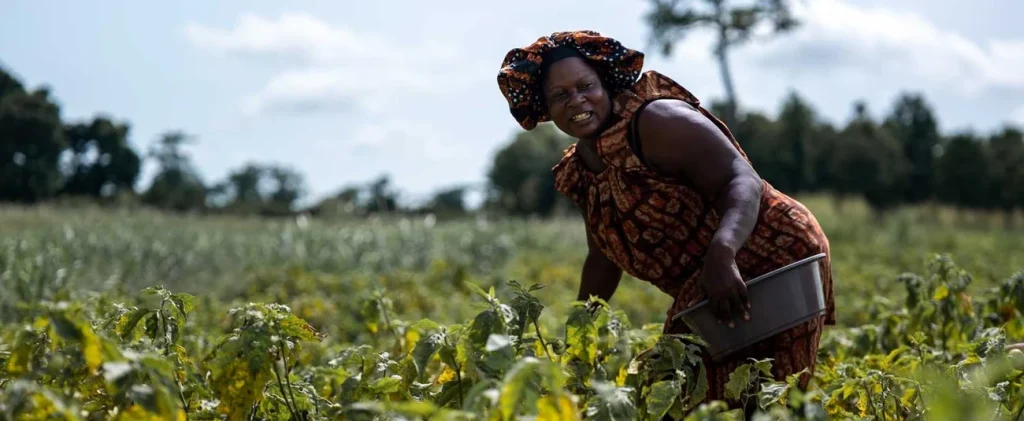 Côte d’Ivoire : garantie partielle de crédit de 400 millions d’euros de la Banque africaine de développement pour l’aider à mobiliser un emprunt durable