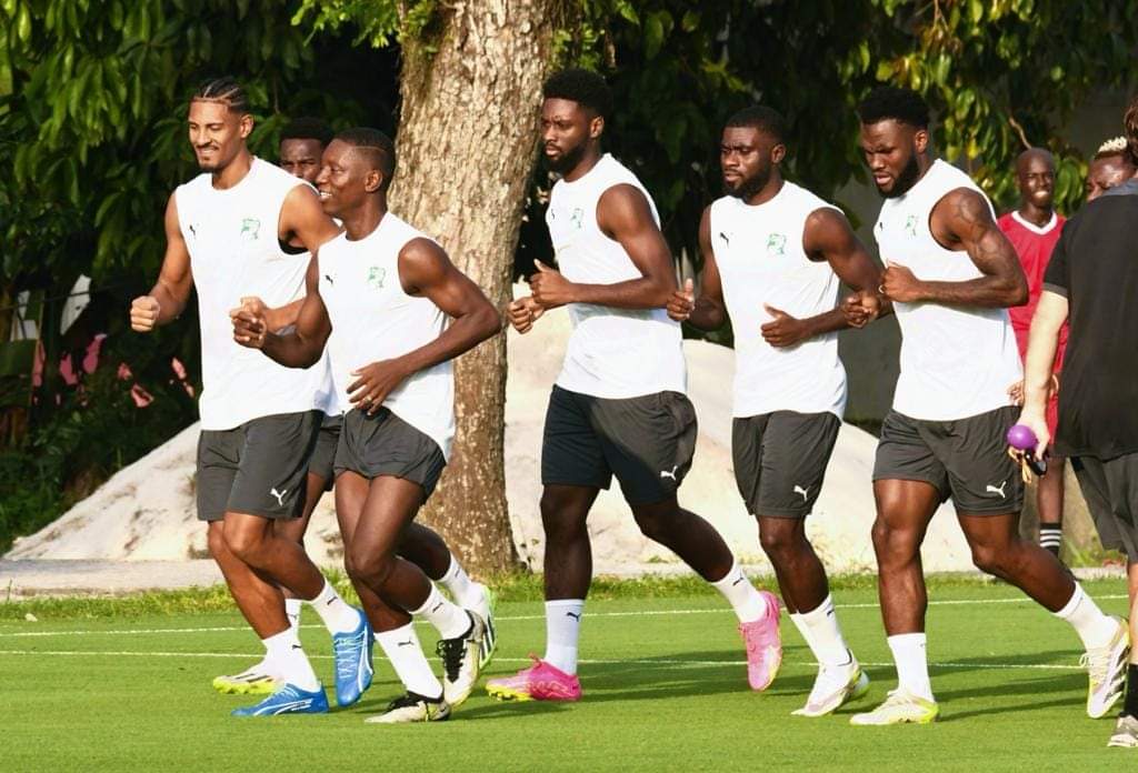 Elim. mondial 2026 : Les Eléphants au labo