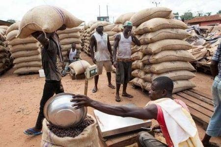Cacao Côte d’Ivoire : les exportateurs locaux de cacao obtiendront un coup de pouce financier en 2024/2025