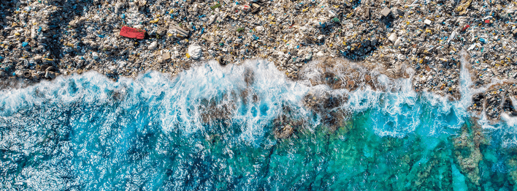 Journée mondiale de l’environnement 5 juin