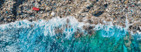 Journée mondiale de l’environnement 5 juin