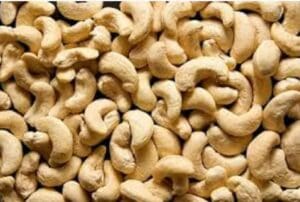 Filière anacarde : la Côte d’Ivoire sécurise 100 000 tonnes pour l’export en 2026 Noix de cajou ivoirienne destinée à l’exportation internationale